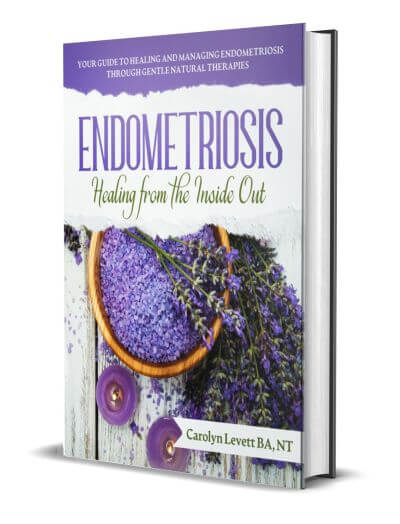 Endometriosis-Healing-from-the-Inside-Out-3D