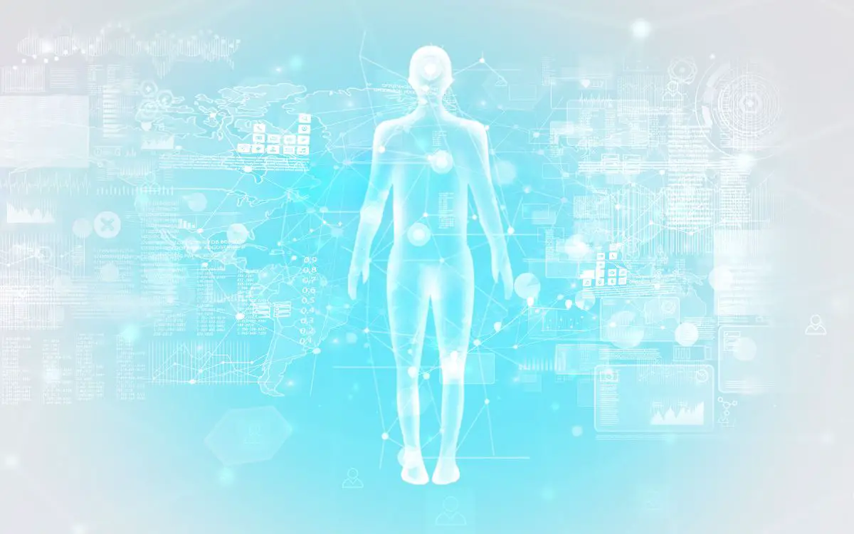 Body map